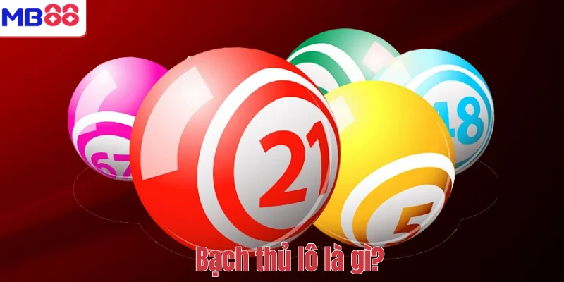 Bạch Thủ Lô Là Gì? Khái Niệm, Đặc Điểm Và Kinh Nghiệm 2 Bạch thủ lô là gì?