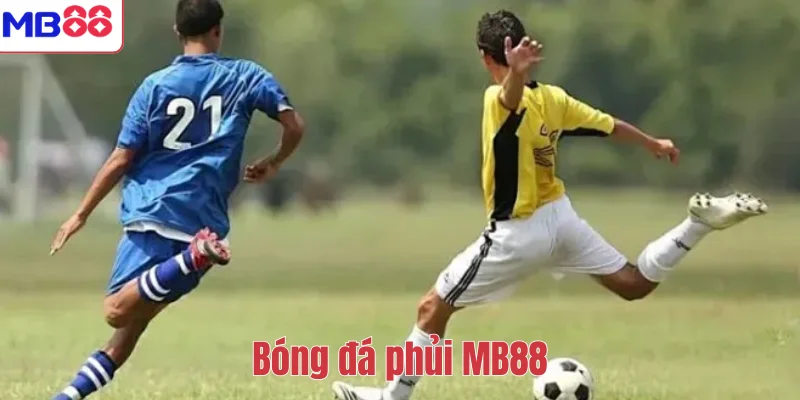 Bóng đá phủi là gì? Cách tham gia bóng đá phủi tại MB88 1 Bóng đá phủi MB88