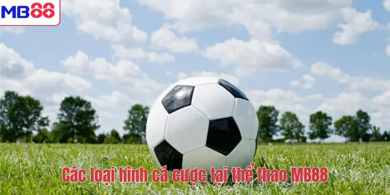 THỂ THAO 2 Các loại hình cá cược tại thể thao MB88