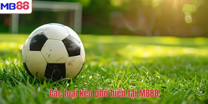 Tỷ Lệ Kèo Nhà Cái MB88 Là Gì? Hướng Dẫn Cách Đọc Chuẩn Xác 3 Các loại kèo phổ biến tại MB88