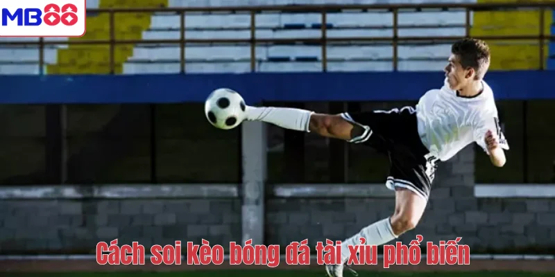 Cách Soi Kèo Bóng Đá Tài Xỉu Chuẩn Nhất Tại MB88 4 Cách soi kèo bóng đá tài xỉu phổ biến