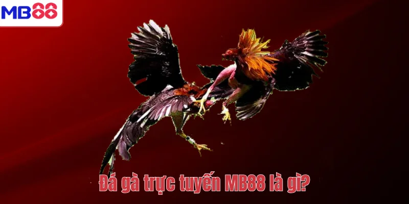 Đá Gà Trực Tuyến MB88 – Trải Nghiệm Giải Trí Hấp Dẫn 2 Đá gà trực tuyến MB88 là gì?