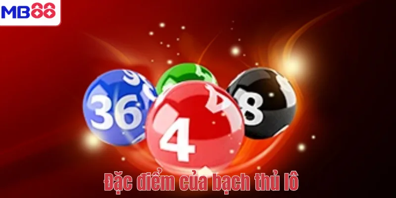 Bạch Thủ Lô Là Gì? Khái Niệm, Đặc Điểm Và Kinh Nghiệm 3 Đặc điểm của bạch thủ lô