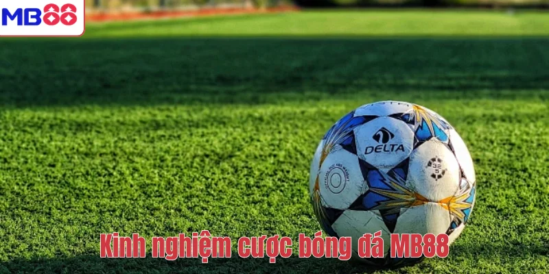 Kinh Nghiệm Cược Bóng Đá Chuẩn Xác Và Hiệu Quả Tại MB88 1 Kinh nghiệm cược bóng đá MB88