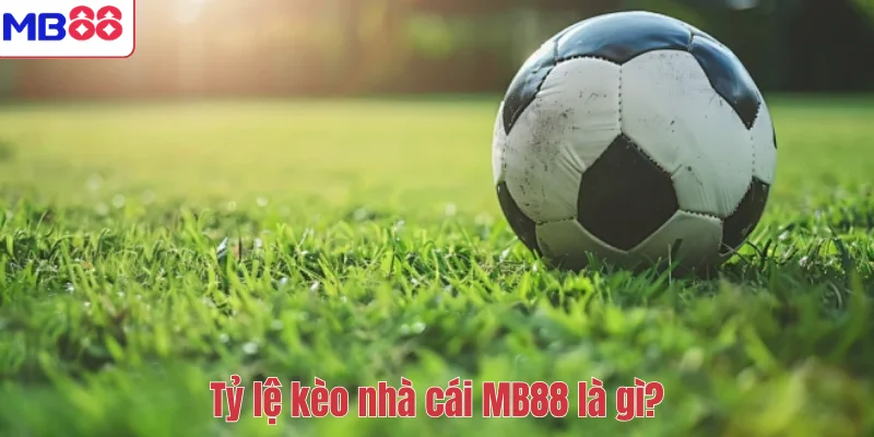 Tỷ Lệ Kèo Nhà Cái MB88 Là Gì? Hướng Dẫn Cách Đọc Chuẩn Xác 2 Tỷ lệ kèo nhà cái MB88 là gì?